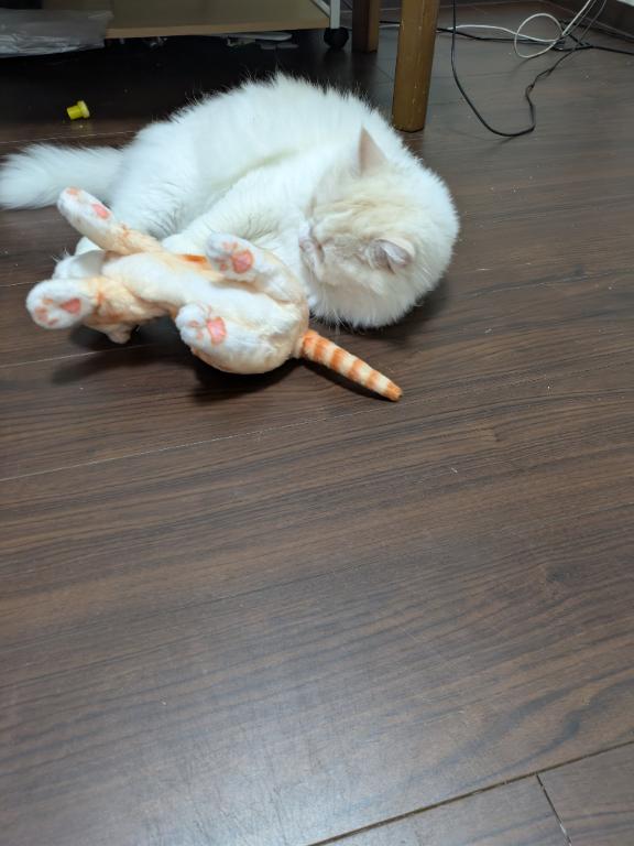 1枚目