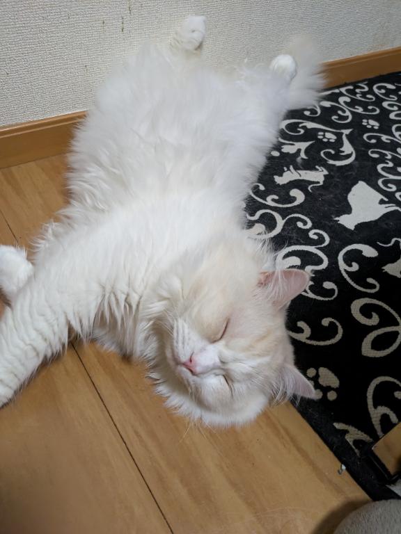 1枚目