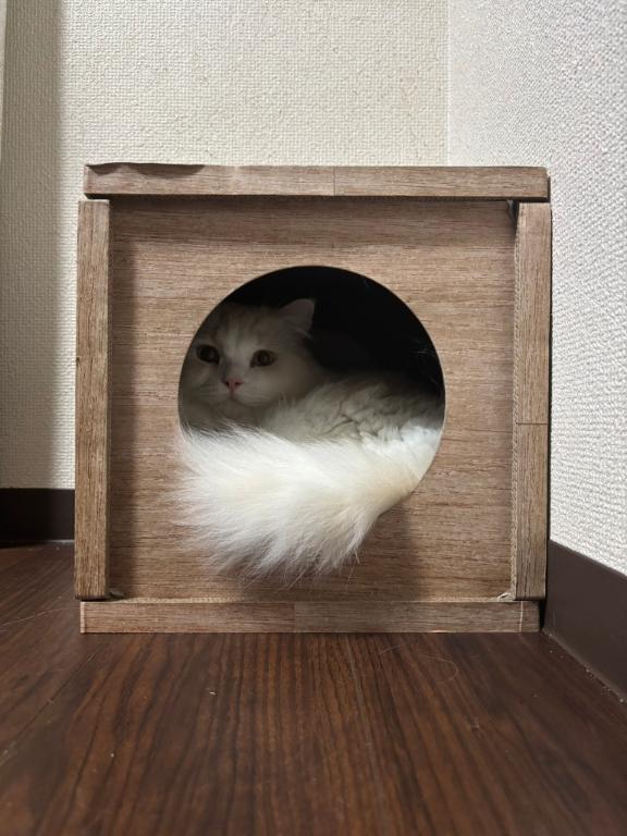 1枚目