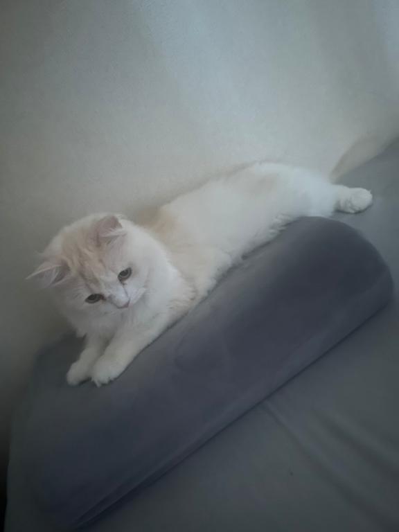 1枚目