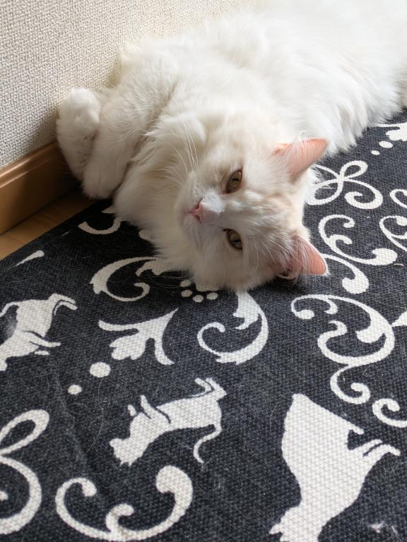 完熟バナナ立川店?れいな